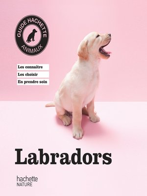 cover image of Labradors